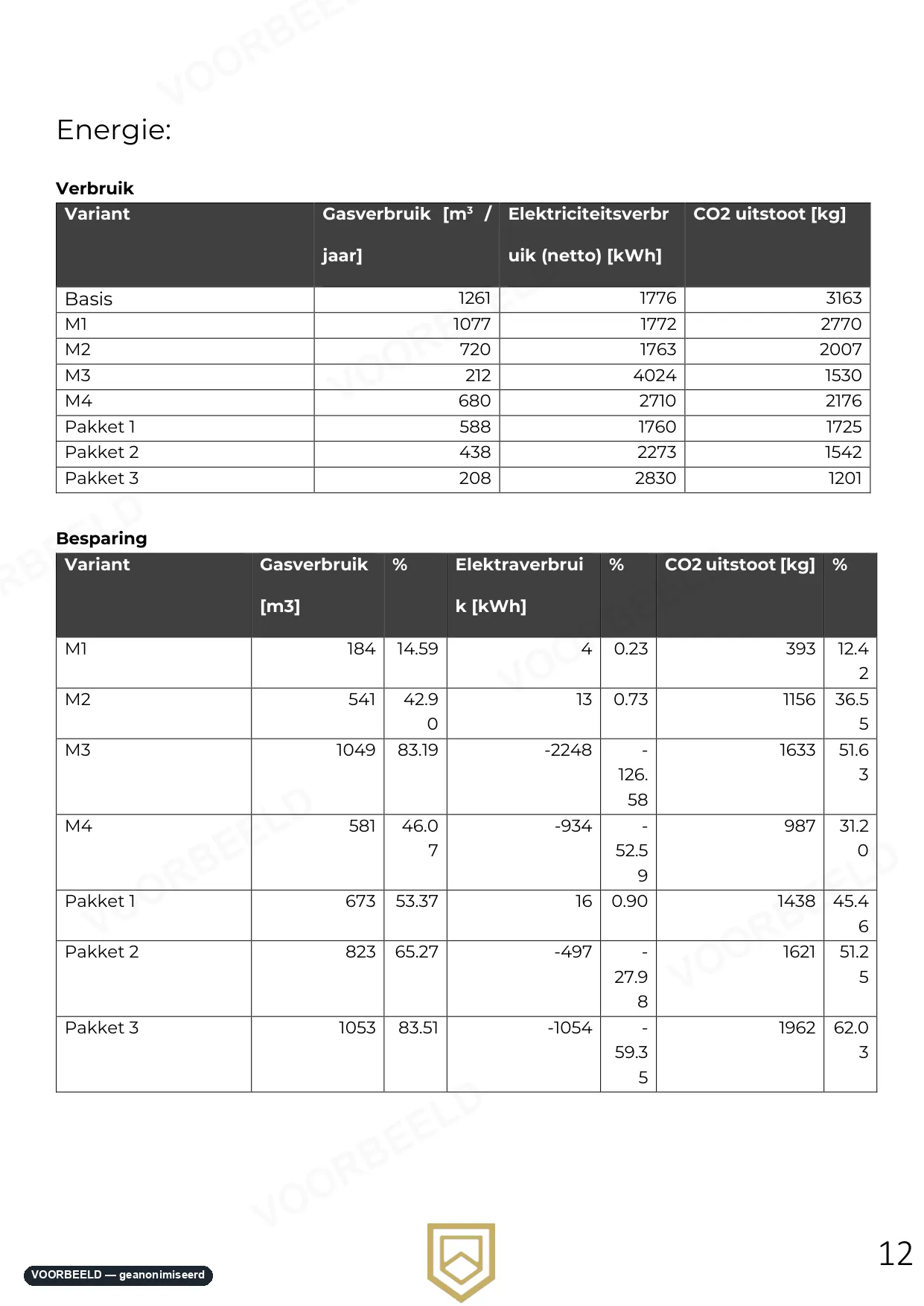 Optimalisatierapport — pagina 12 van 33, geanonimiseerd voorbeeld